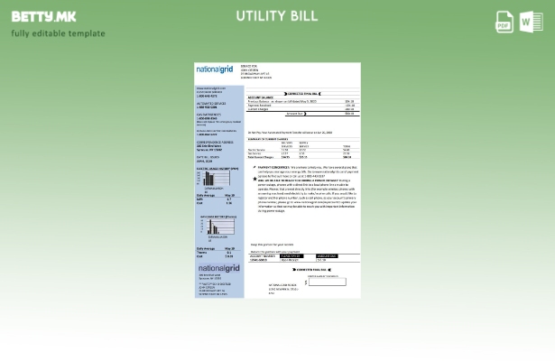 Модерен стил на USA New York National Grid шаблон за комунални сметки